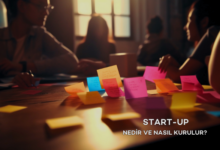 startup nedir