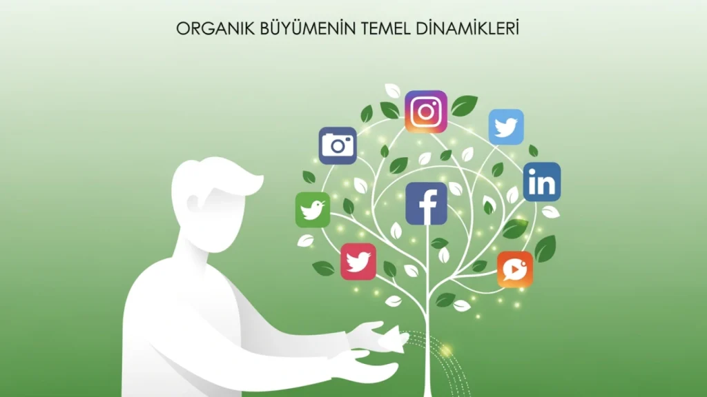 Organik Büyümenin Temel Dinamikleri