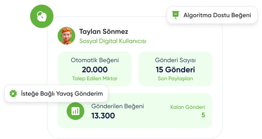 Hızlı TikTok Türk Beğeni Satın Al