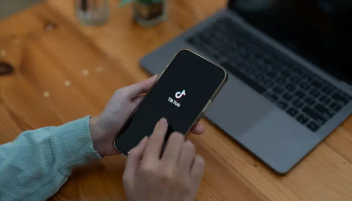 tiktok video indirme snaptik