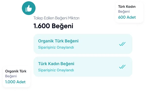 Instagram Beğeni Satın Alma Türleri