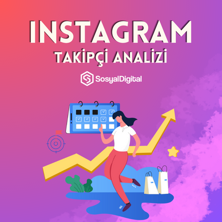Instagram Analiz Aracı Nasıl Kullanılır?