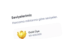 TikTok Türk İzlenme