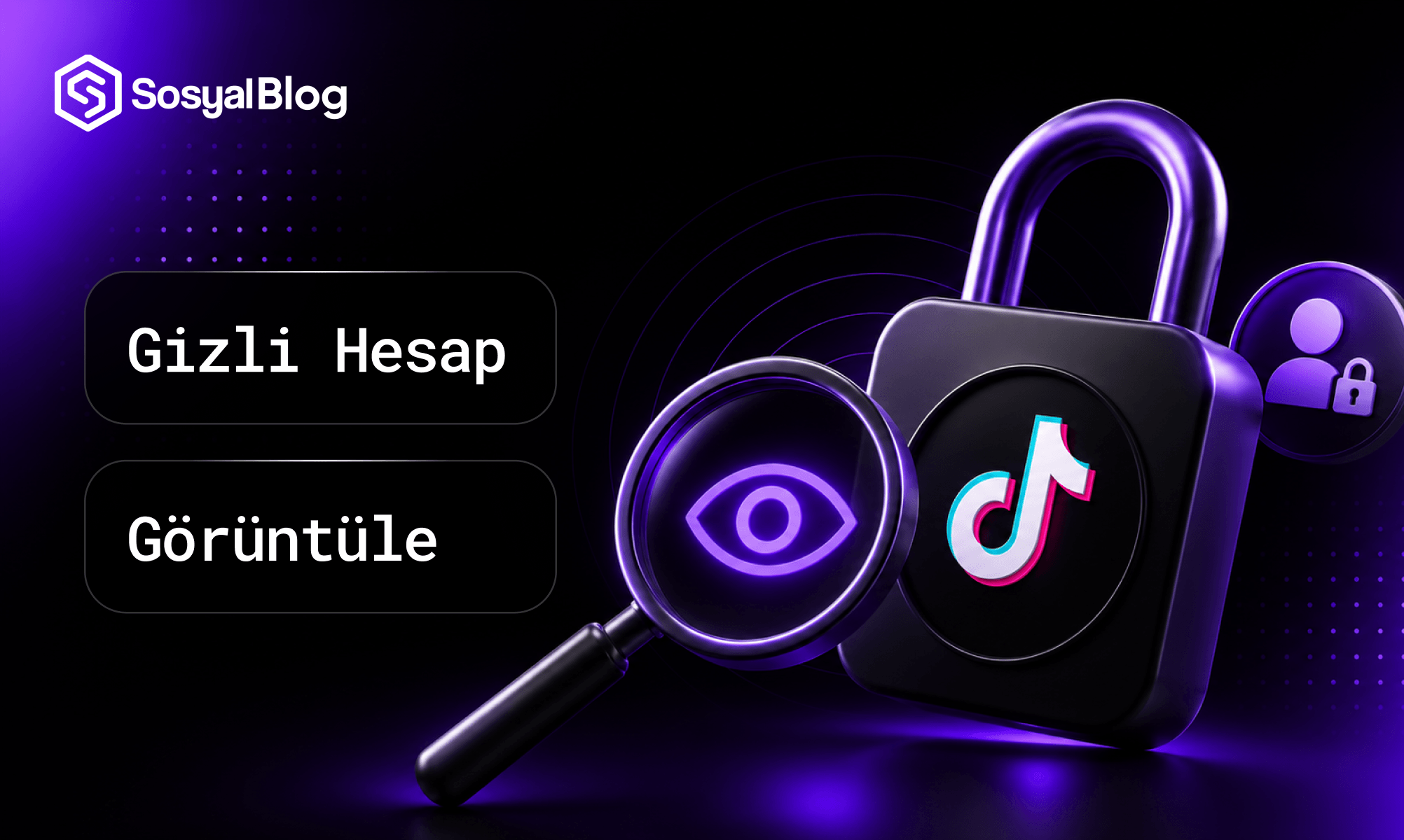 TikTok Gizli Hesap Görme (Mümkün mü, Yöntemler)
