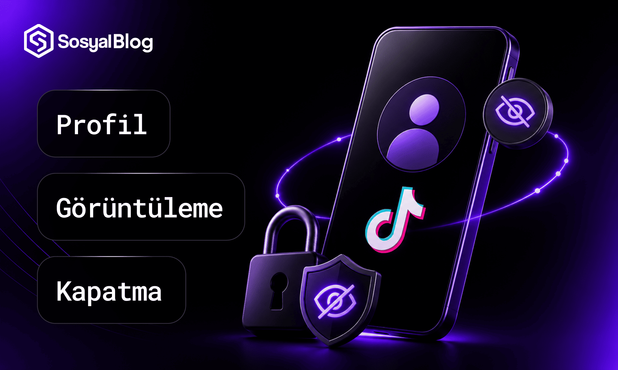 TikTok Profil Görüntüleme Kapatma Nasıl Yapılır?
