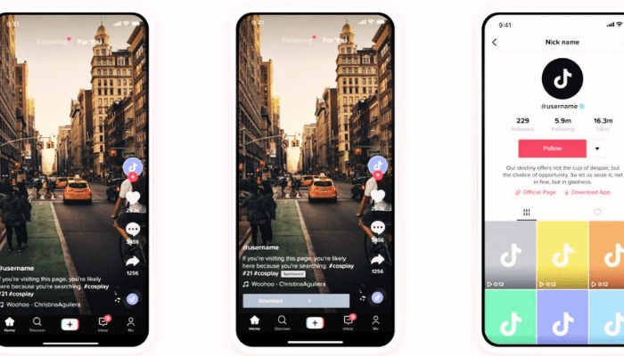 TikTok Reklam Hedef Kitleleri